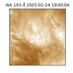 saia - 2025-01-24T19:00:04.843000