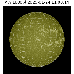 saia - 2025-01-24T11:00:14.125000