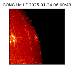 gong - 2025-01-24T06:00:43