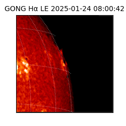 gong - 2025-01-24T08:00:42