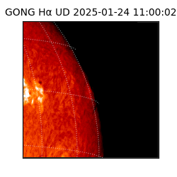 gong - 2025-01-24T11:00:02