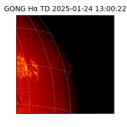 gong - 2025-01-24T13:00:22
