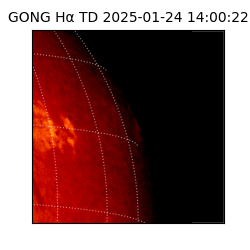 gong - 2025-01-24T14:00:22