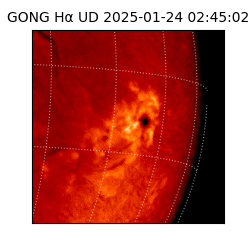 gong - 2025-01-24T02:45:02