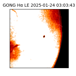 gong - 2025-01-24T03:03:43