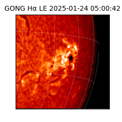 gong - 2025-01-24T05:00:42