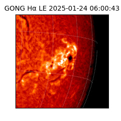 gong - 2025-01-24T06:00:43