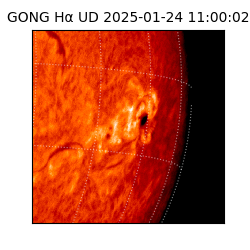 gong - 2025-01-24T11:00:02