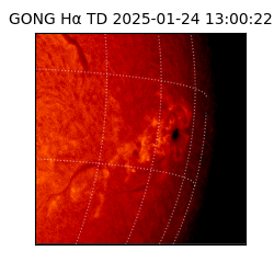 gong - 2025-01-24T13:00:22