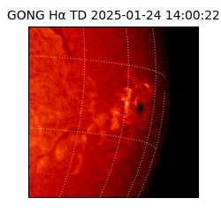 gong - 2025-01-24T14:00:22
