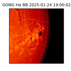 gong - 2025-01-24T19:00:02