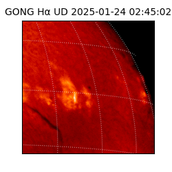 gong - 2025-01-24T02:45:02