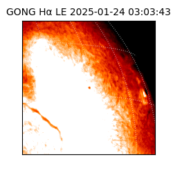 gong - 2025-01-24T03:03:43