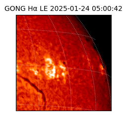 gong - 2025-01-24T05:00:42