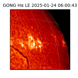 gong - 2025-01-24T06:00:43