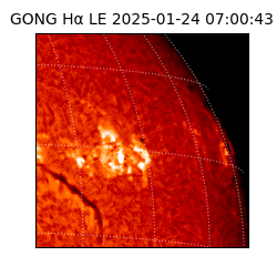 gong - 2025-01-24T07:00:43