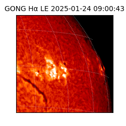 gong - 2025-01-24T09:00:43