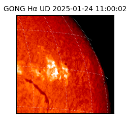 gong - 2025-01-24T11:00:02