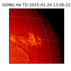 gong - 2025-01-24T13:00:22