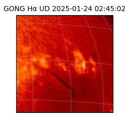 gong - 2025-01-24T02:45:02