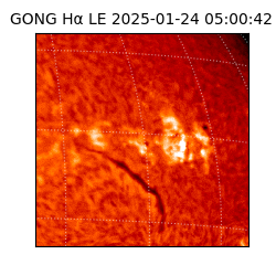 gong - 2025-01-24T05:00:42