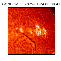 gong - 2025-01-24T06:00:43