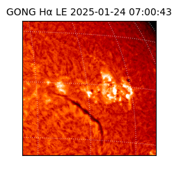 gong - 2025-01-24T07:00:43