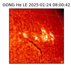 gong - 2025-01-24T08:00:42