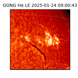 gong - 2025-01-24T09:00:43