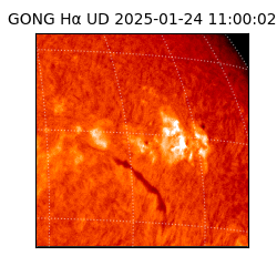 gong - 2025-01-24T11:00:02