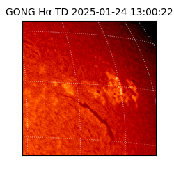 gong - 2025-01-24T13:00:22