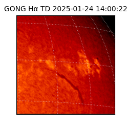 gong - 2025-01-24T14:00:22