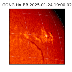 gong - 2025-01-24T19:00:02