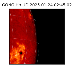 gong - 2025-01-24T02:45:02