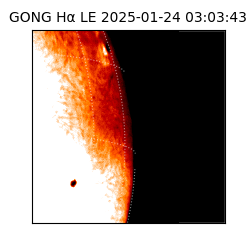 gong - 2025-01-24T03:03:43