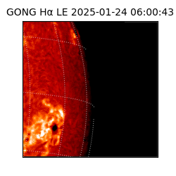 gong - 2025-01-24T06:00:43