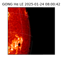 gong - 2025-01-24T08:00:42