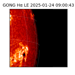 gong - 2025-01-24T09:00:43