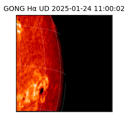 gong - 2025-01-24T11:00:02
