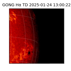 gong - 2025-01-24T13:00:22