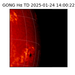 gong - 2025-01-24T14:00:22