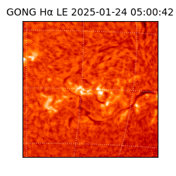 gong - 2025-01-24T05:00:42