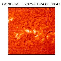 gong - 2025-01-24T06:00:43