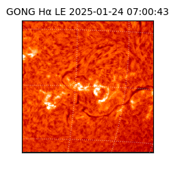 gong - 2025-01-24T07:00:43