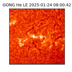 gong - 2025-01-24T08:00:42