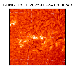 gong - 2025-01-24T09:00:43