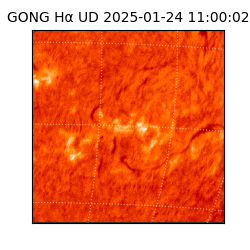 gong - 2025-01-24T11:00:02