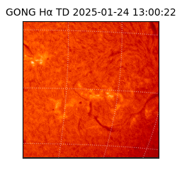 gong - 2025-01-24T13:00:22