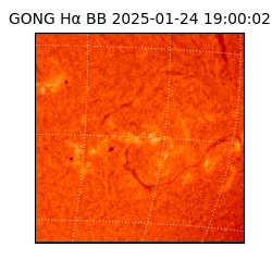 gong - 2025-01-24T19:00:02