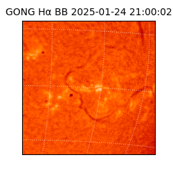 gong - 2025-01-24T21:00:02